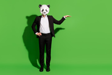 Photo of confident guy hand measure empty space wear panda mask black tuxedo isolated on green...