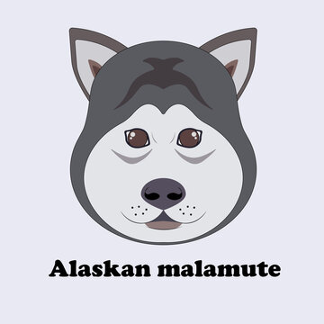 Alaskan malamute. Print with a cartoon husky.