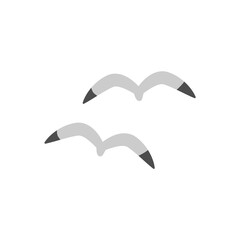 二羽のカモメのイラスト
