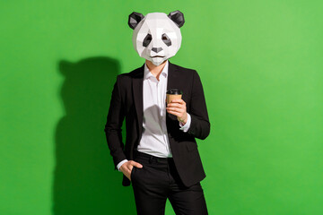 Photo of confident agent guy hold coffee cup wear panda head black tuxedo isolated on green color...