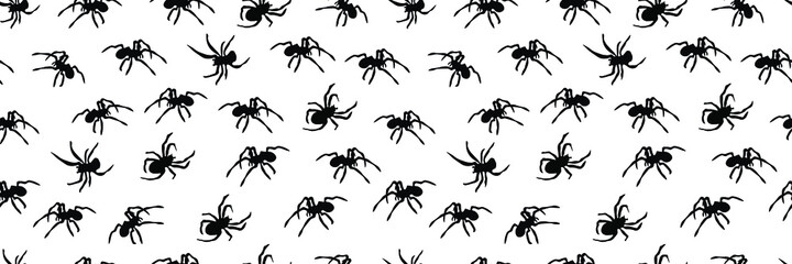 Black spiders, insect pattern. Seamless Vector illustration.