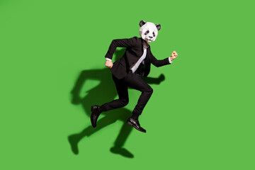 Full length body size view of classy chic motivated man wearing panda mask jumping running isolated over bright green color background