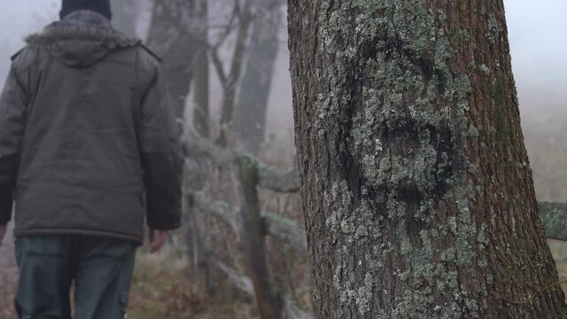 Man goes next to marked G Tree within wooden fence in distance - (4K)