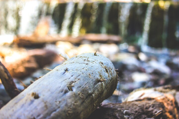 Dolomites, Selva di Val Gardena