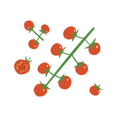 Cherry tomato set. Red fresh tomatoes: branch, half and slice. Flat hand drawn illustration of vegetables.