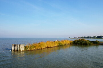 Beautiful coastal panorama by the lake or sea. The blue sky above the lake. Nature landscape, Beautiful autumn weather by the Neusiedler See, Austria.