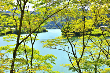 丹沢湖 神奈川県山北町の風景