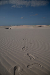 footprints in the sand