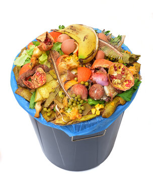 elevated view of a compost bin