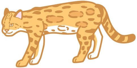 オセロット　猫科動物　イラスト