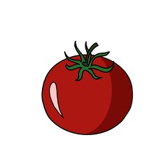 An illustration of a bright red single tomato on a white background. Ideal for prints, fabric drawing, wallpaper, background, menu, leaflets, brochures, booklets, postcards, invitations