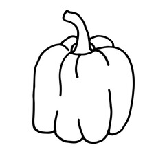 Vegetable doodle bell pepper. Fresh, healthy, vegan food. Hand drawn illustration. 