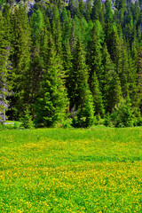 panorama of the val di funes south tyrol Italy