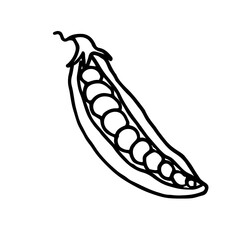 Vegetable doodle pea pod. Fresh, healthy, vegan food. Hand drawn illustration.