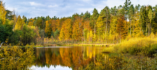 Beautiful lake panorama, autumn forest.