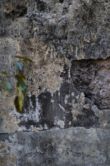 Pared rota con hojas verdes