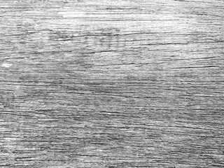 Old wood texture crack, gray-white tone. Use this for wallpaper or background image. There is a blank space for text.