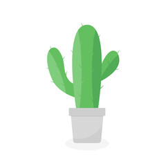 This is a cactus on a white background.