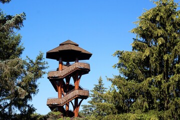The tall wood treehouse overlook in the park.