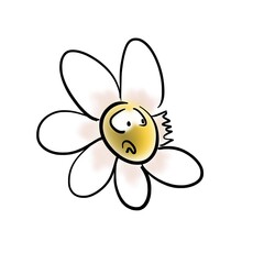 Scared flower has lost one petal