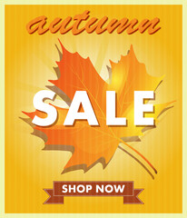 Fototapeta na wymiar the poster. there is a large maple leaf on a yellow background. Autumn sale.