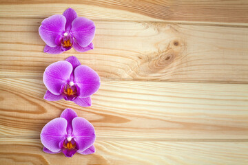 Orchid flowers on a natural wooden background. Spa treatments, meditation, relaxation. Top view. Copy space.