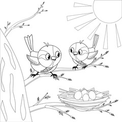 Children's coloring book sparrows on a tree. Sparrows sit on a tree branch and look at their nest. There are eggs in the nest. The eggs will hatch soon chicks.