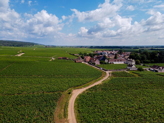 Aerian view on green grand cru and premier cru vineyards with rows of pinot noir grapes plants in Cote de nuits, making of famous red Burgundy wine in Burgundy region of eastern France.