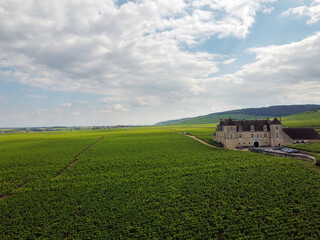 Obraz premium Aerian view on green grand cru and premier cru vineyards with rows of pinot noir grapes plants in Cote de nuits, making of famous red Burgundy wine in Burgundy region of eastern France.