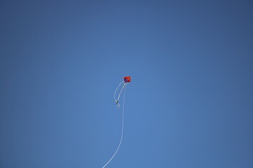 Fototapeta na wymiar red kite flying in the sky
