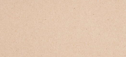 Fototapeta na wymiar cardboard texture nature, brown beige banner backdrop horizontal