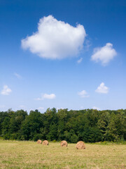 Rural landscape with rolls of hay, meadow and roll bales during sunny summer with clouds