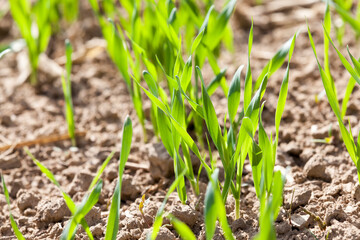 European agricultural technologies