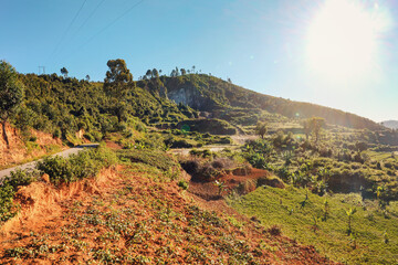 Typical Madagascar landscape - green fields on small hills road near -  region near Alakamisy...
