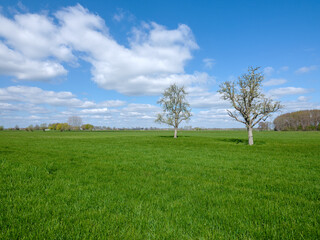 Landschap nabij Terwolde