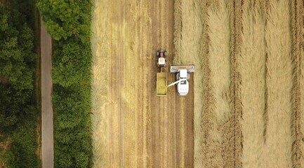 Feldhäcksler und Traktor mit Anhänger bei der Ernte auf einem Feld, Erntearbeiten aus der Vogelperspektive
