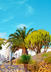 Fototapeta premium Country landscape wallpaper. Tropical location.Travel. Canary islands. Fuerteventura