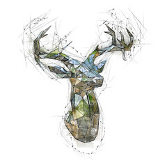 Low-poly sketch illustration of a Stag's Bust. - 443876651