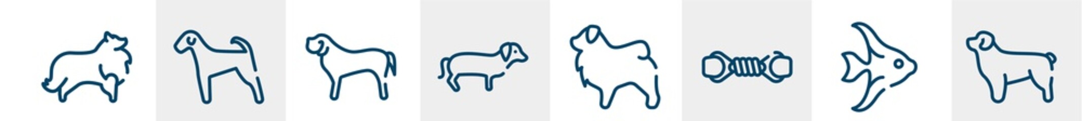 dog breeds fullbody line icons such as sheltie, aiale, english mastiff, dachshund, tibetan mastiff, newfoundland outline vector sign. symbol, logo illustration. linear style icons set. pixel perfect