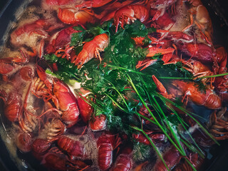 Cooking river crayfish, or crawfish, at home on a traditional recipe. A lot of red, freshwater lobsters boiling in a big bowl on hob. Preparing delicious, non gmo, organic food in house conditions