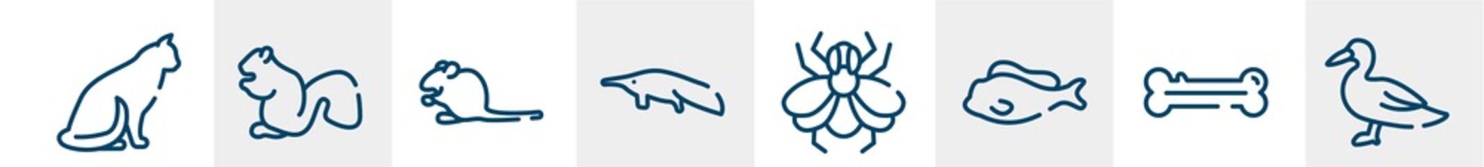 Fototapeta premium free animals line icons such as sitting cat, sitting squirrell, sitting mouse, anteater, big fly, wild duck outline vector sign. symbol, logo illustration. linear style icons set. pixel perfect