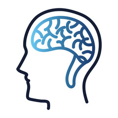 human head brain