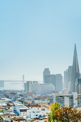 Panorama of the city of San Francisco from a high hill. view of downtown and transamerica tower