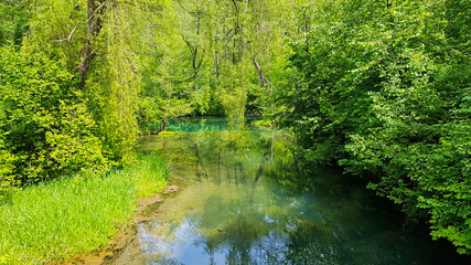 Rhuma Sprung Quelle Karstgebirge Trinkwasser Natur Schutz Wasser Wald Ausflugsziel Niedersachsen...