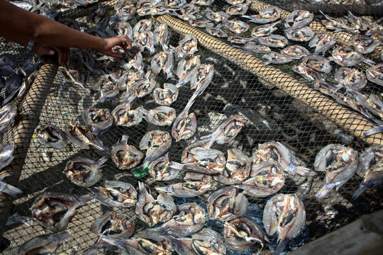 Dried fish