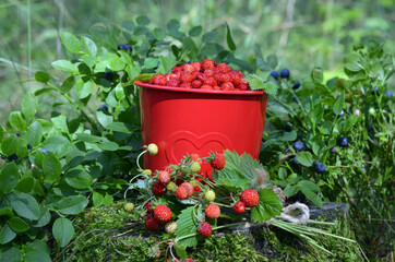 bucket with berries and a bouquet of strawberries in the forest