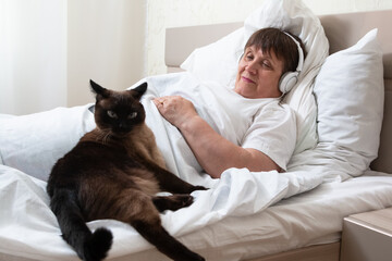 A domestic cat entertains a sick grandmother and does not let her get bored.