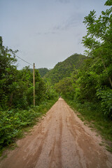 long road in the middle of the jungle