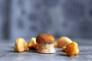 Various edible forest mushrooms on a wooden table. Vegetarian food.