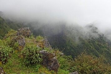 fog in the mountains